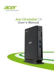 Acer