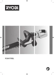 Ryobi