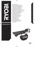 Ryobi