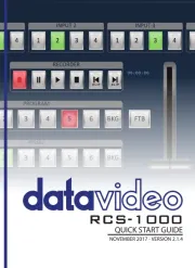DataVideo