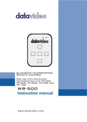 DataVideo