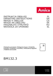 Amica
