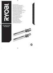Ryobi