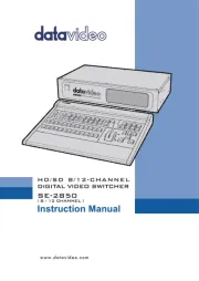 DataVideo