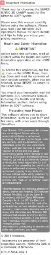Nintendo