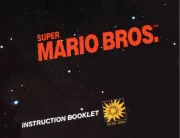 Nintendo