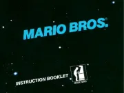 Nintendo