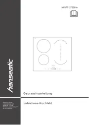 Hanseatic