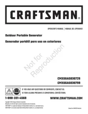 Craftsman