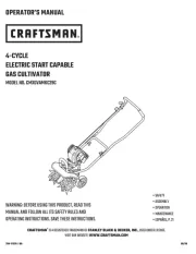 Craftsman