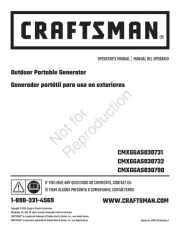 Craftsman