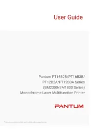 Pantum