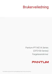 Pantum