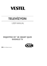 Vestel