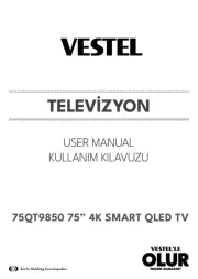 Vestel