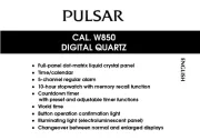 Pulsar