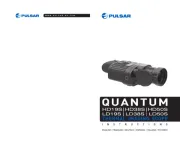 Pulsar