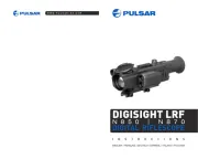 Pulsar