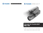 Pulsar
