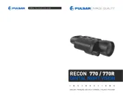 Pulsar