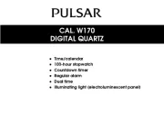 Pulsar