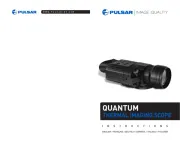 Pulsar
