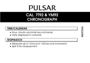 Pulsar