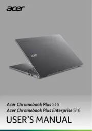 Acer
