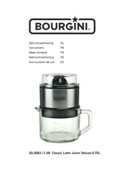 Bourgini