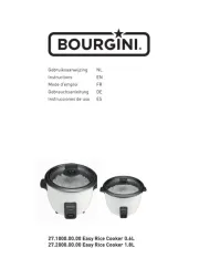 Bourgini