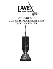 Lavex