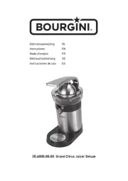 Bourgini