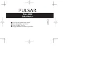 Pulsar