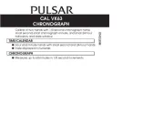 Pulsar