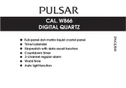 Pulsar