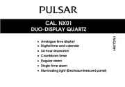 Pulsar