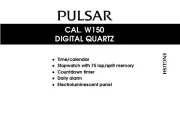 Pulsar