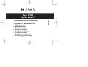 Pulsar