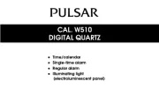 Pulsar