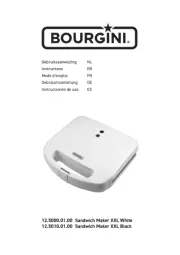 Bourgini