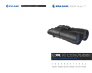 Pulsar