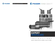 Pulsar