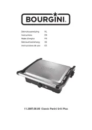 Bourgini