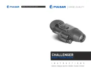 Pulsar
