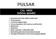 Pulsar