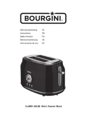Bourgini