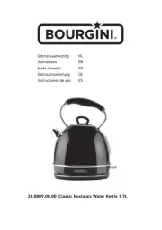 Bourgini