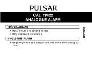 Pulsar