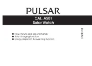 Pulsar