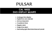 Pulsar